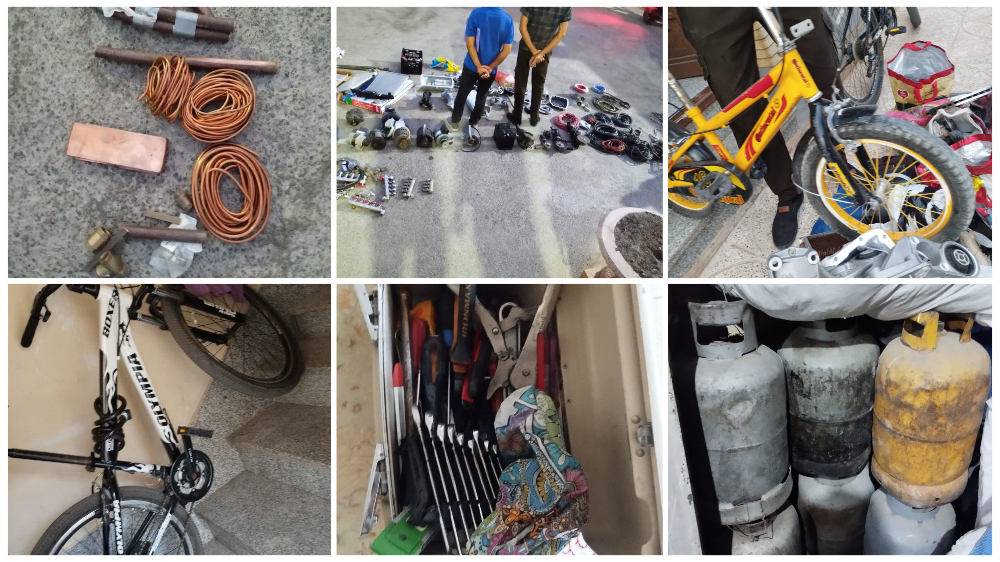 دستگیری سارقان حرفه‌ای منازل و باغات در کلانتری ۲۲ بهارستان / کشف بیش از ۴۰ فقره اموال سرقتی